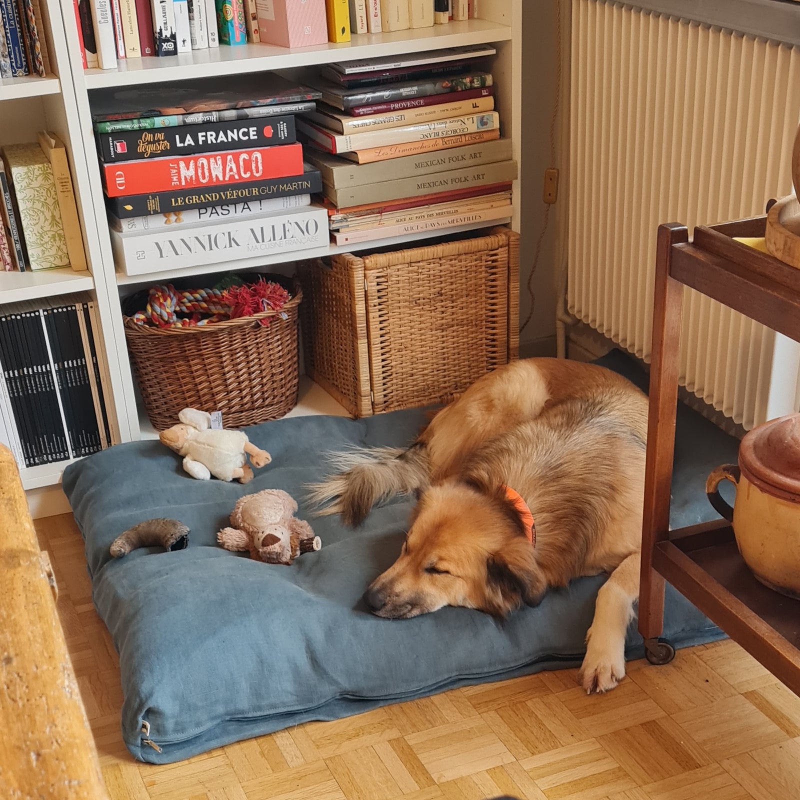 coussin chien  CACHE CHIEN™ – confortablechien